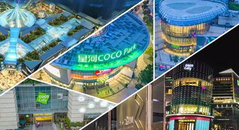 集團(tuán)商業(yè)綜合體管理服務(wù)升級(jí)，以精細(xì)化運(yùn)營(yíng)引領(lǐng)城市商業(yè)新生態(tài)